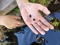 2025_10_30_マキガイ