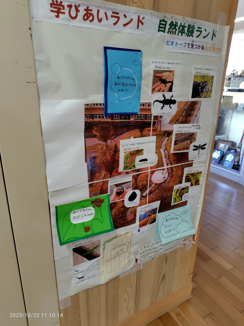 2025_10_23_掲示物