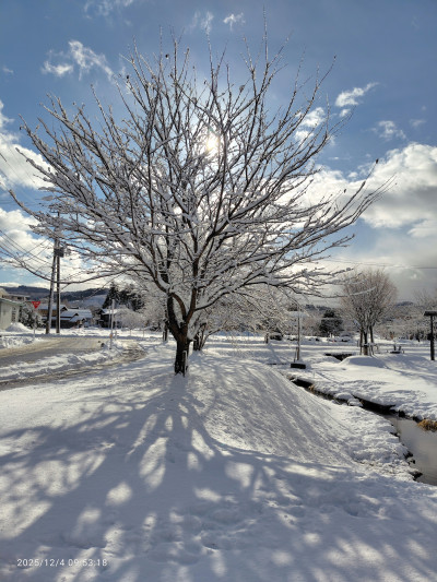 25_12_04_ビオトープ風景‗雪 (4)