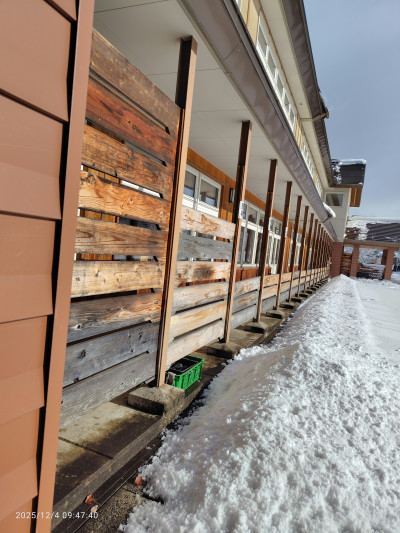 25_12_04_ビオトープ風景‗雪 (1)