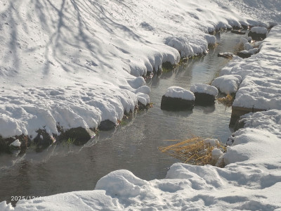 25_12_04_ビオトープ風景‗雪 (2)